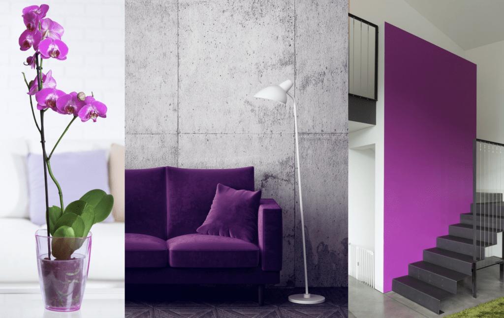 Chicagoland Home Staging 2022 Color Trend Purple